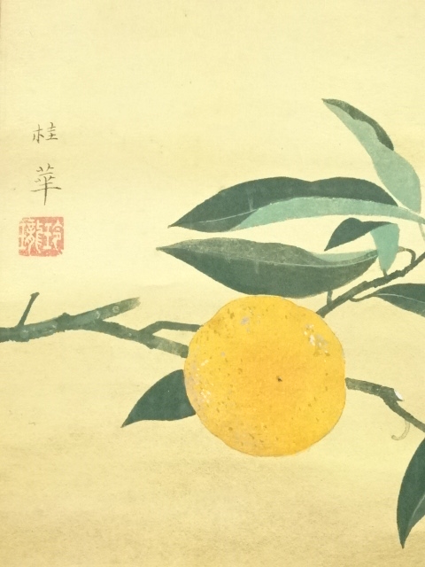 道具 ] - 道具 金島桂華筆 蜜柑 肉筆紙本掛軸（共箱）□z | ネット